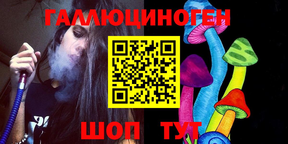Галлюциногенные грибы Psilocybine cubensis Томск